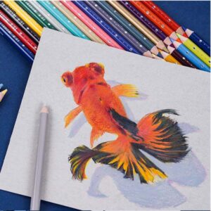 Art Supplies Drawing Sketch  Colored Soft Core Color Pencil