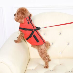 Small dog stand collar vest chest back warm traction dog clothing